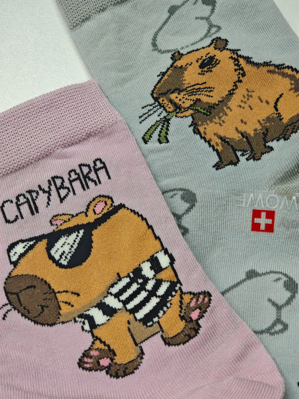 PESAIL - kojinės su kapibara